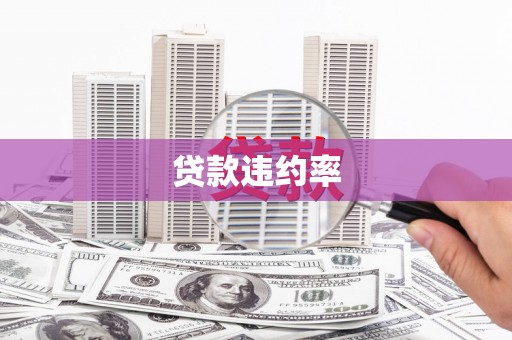 永泰贷款违约率