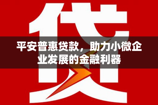 永泰平安普惠贷款，助力小微企业发展的金融利器