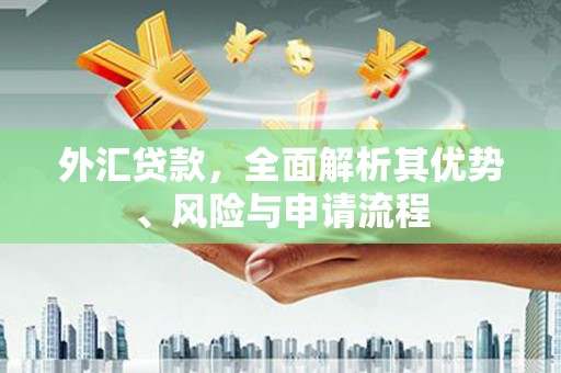 永泰外汇贷款，全面解析其优势、风险与申请流程