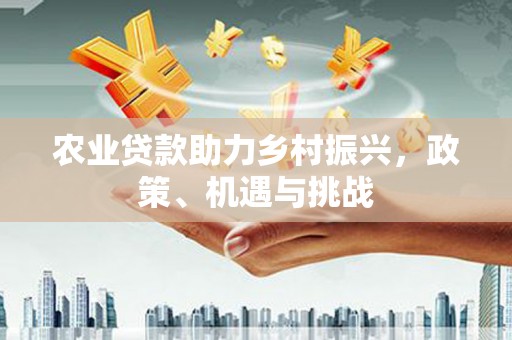 永泰农业贷款助力乡村振兴，政策、机遇与挑战