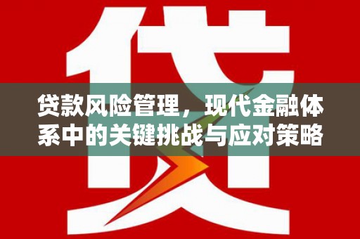 永泰贷款风险管理，现代金融体系中的关键挑战与应对策略