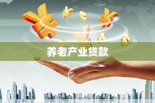 永泰养老产业贷款