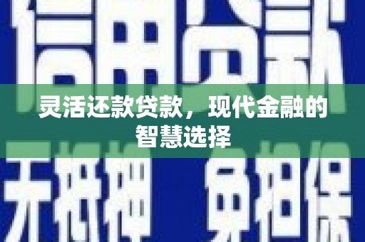 永泰灵活还款贷款，现代金融的智慧选择