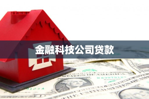 永泰金融科技公司贷款