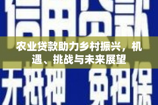 永泰农业贷款助力乡村振兴，机遇、挑战与未来展望