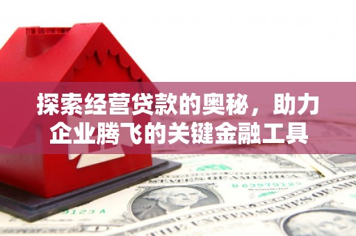 永泰探索经营贷款的奥秘，助力企业腾飞的关键金融工具