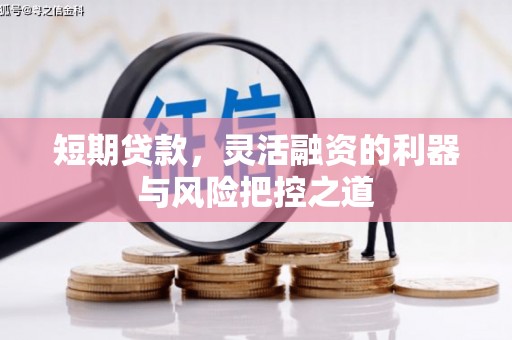 永泰短期贷款，灵活融资的利器与风险把控之道