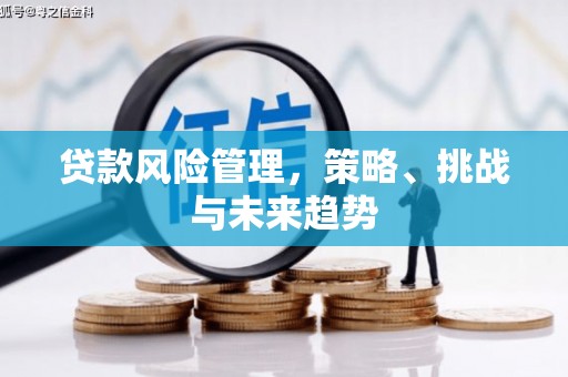 永泰贷款风险管理，策略、挑战与未来趋势