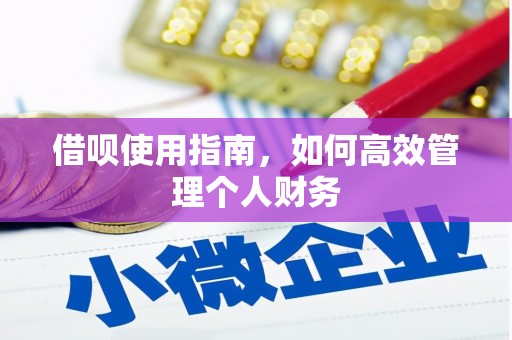 永泰借呗使用指南，如何高效管理个人财务