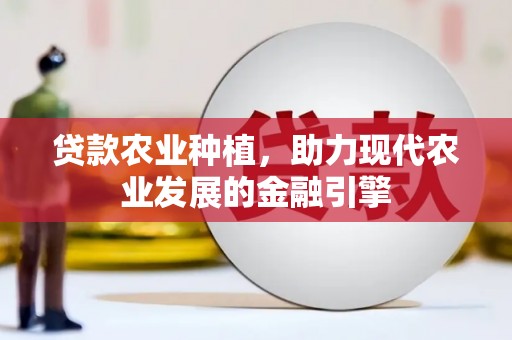 永泰贷款农业种植，助力现代农业发展的金融引擎