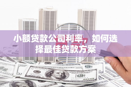 永泰小额贷款公司利率，如何选择最佳贷款方案