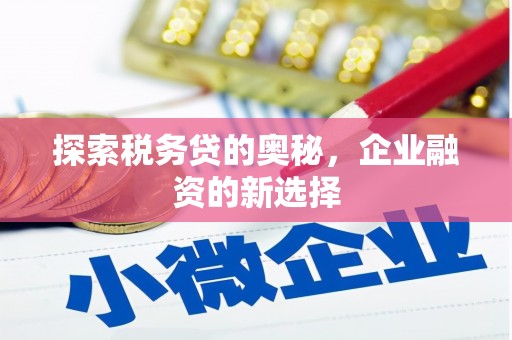 永泰探索税务贷的奥秘，企业融资的新选择