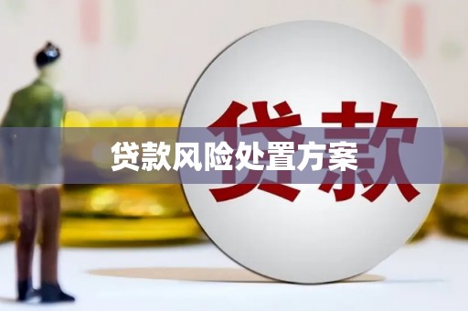 永泰贷款风险处置方案