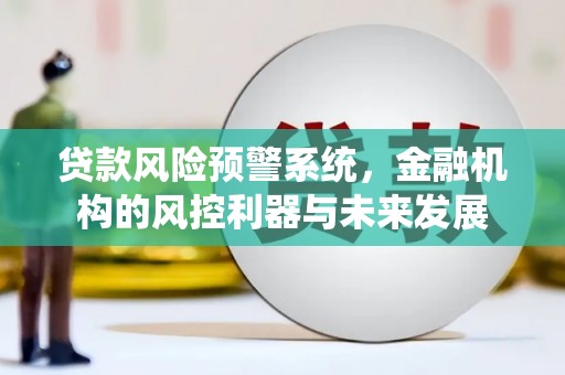 永泰贷款风险预警系统，金融机构的风控利器与未来发展