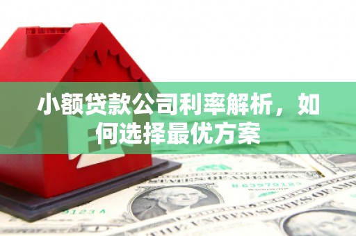 永泰小额贷款公司利率解析，如何选择最优方案