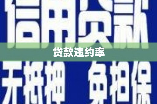 永泰贷款违约率
