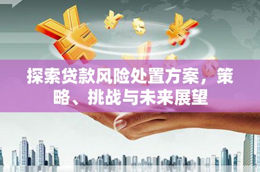 永泰探索贷款风险处置方案，策略、挑战与未来展望