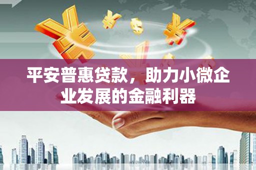 永泰平安普惠贷款，助力小微企业发展的金融利器