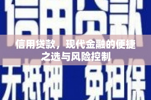 永泰信用贷款，现代金融的便捷之选与风险控制