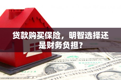 永泰贷款购买保险，明智选择还是财务负担？