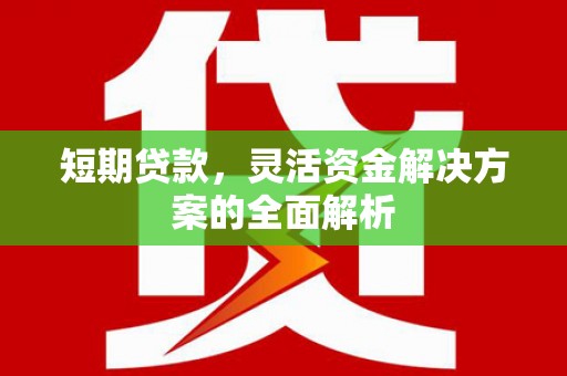 永泰短期贷款，灵活资金解决方案的全面解析