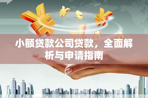 永泰小额贷款公司贷款，全面解析与申请指南