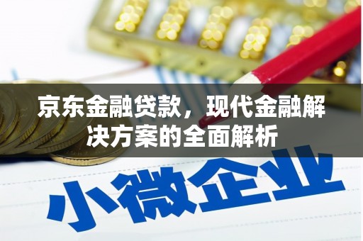 永泰京东金融贷款，现代金融解决方案的全面解析