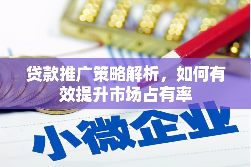 永泰贷款推广策略解析，如何有效提升市场占有率