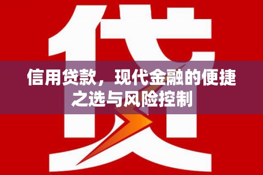 永泰信用贷款，现代金融的便捷之选与风险控制