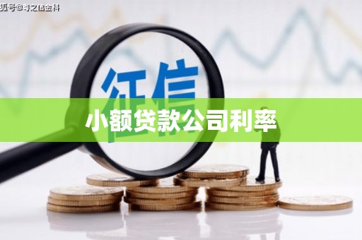 永泰小额贷款公司利率