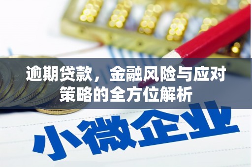 永泰逾期贷款，金融风险与应对策略的全方位解析