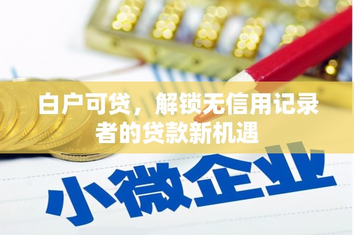 永泰白户可贷，解锁无信用记录者的贷款新机遇