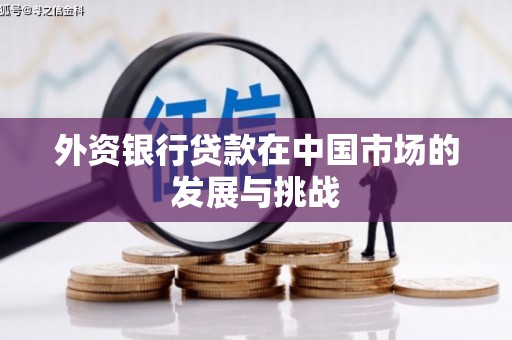 永泰外资银行贷款在中国市场的发展与挑战