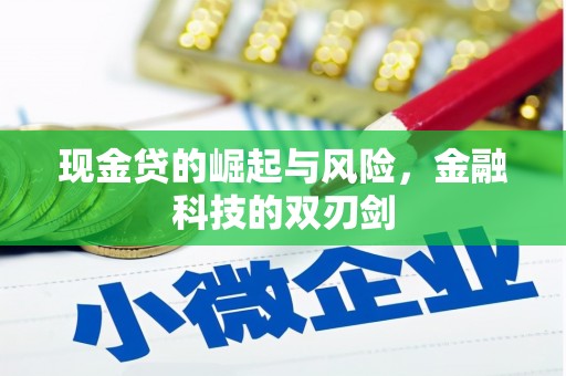 永泰现金贷的崛起与风险，金融科技的双刃剑