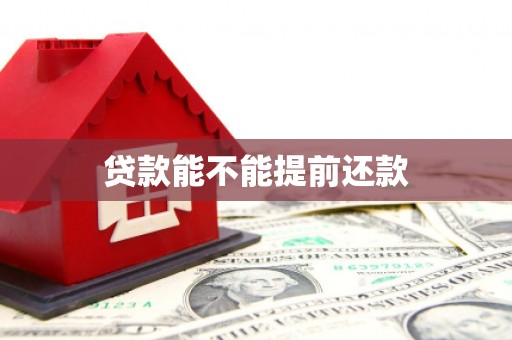 永泰贷款能不能提前还款