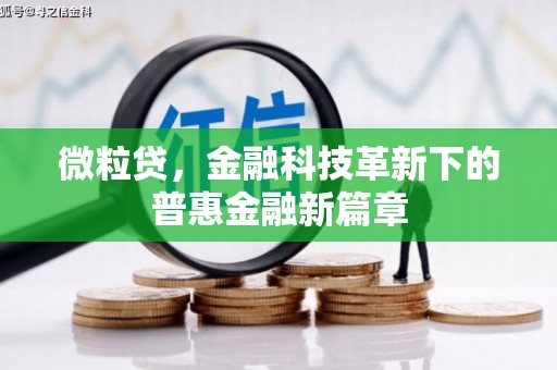 永泰微粒贷，金融科技革新下的普惠金融新篇章