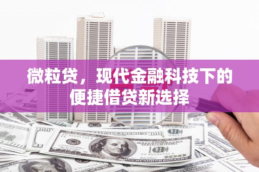 永泰微粒贷，现代金融科技下的便捷借贷新选择