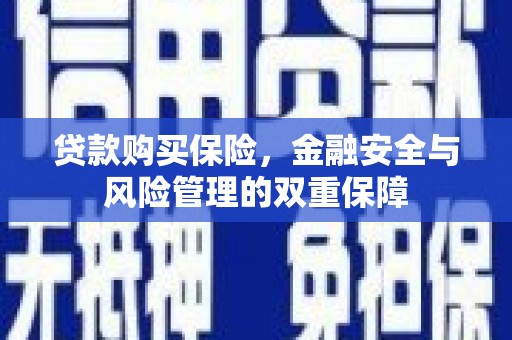 永泰贷款购买保险，金融安全与风险管理的双重保障