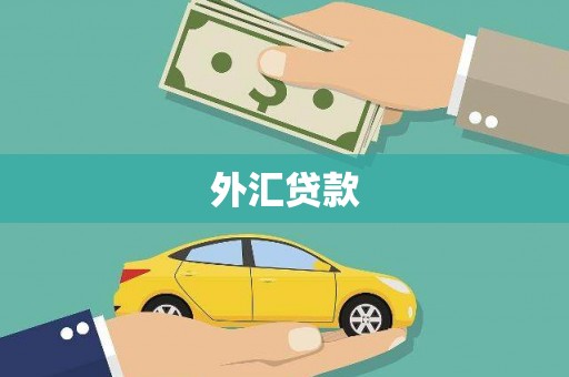 永泰外汇贷款