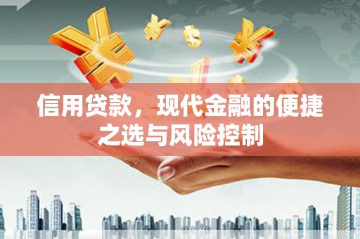 永泰信用贷款，现代金融的便捷之选与风险控制