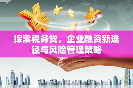 永泰探索税务贷，企业融资新途径与风险管理策略