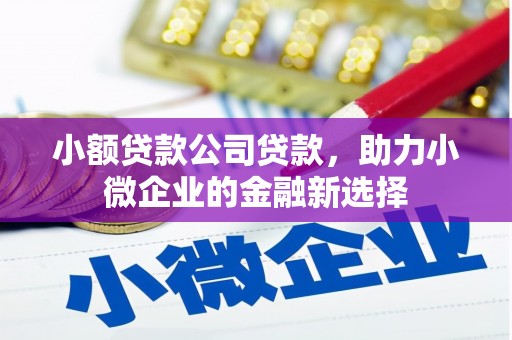 永泰小额贷款公司贷款，助力小微企业的金融新选择