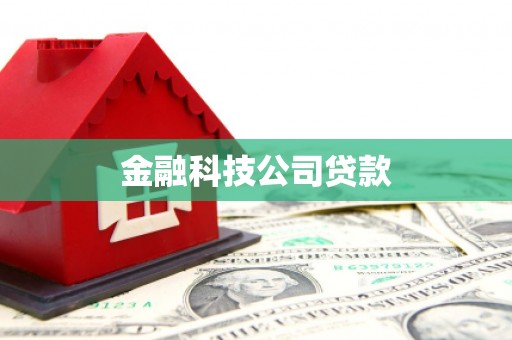 永泰金融科技公司贷款