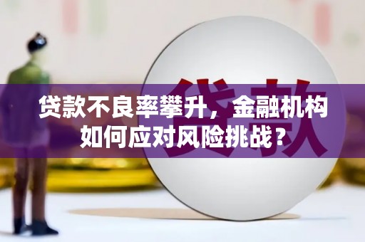 永泰贷款不良率攀升，金融机构如何应对风险挑战？