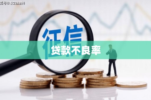 永泰贷款不良率