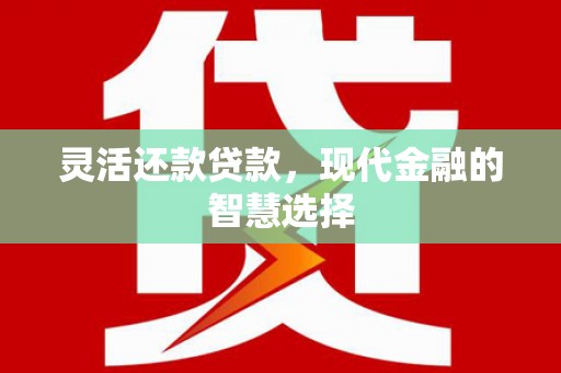 永泰灵活还款贷款，现代金融的智慧选择
