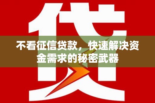 永泰不看征信贷款，快速解决资金需求的秘密武器