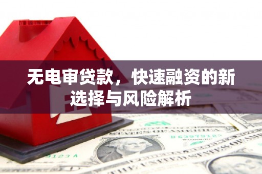 永泰无电审贷款，快速融资的新选择与风险解析