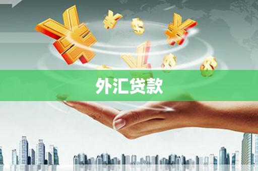 永泰外汇贷款