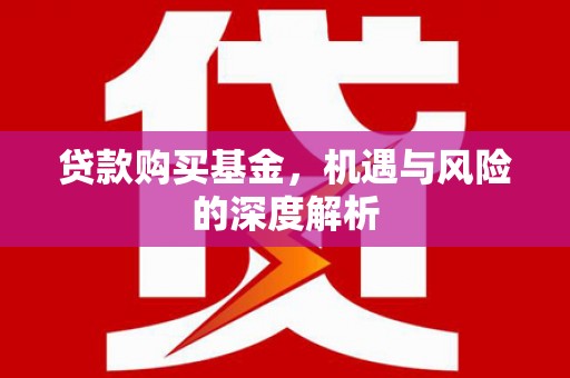 永泰贷款购买基金，机遇与风险的深度解析